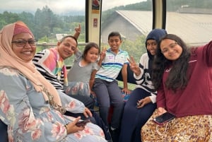 From Tokyo to Mount Fuji: Full-Day Tour and Hakone Cruise