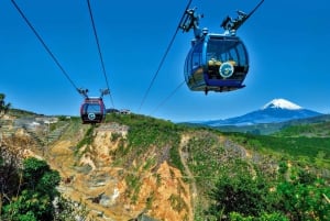 From Tokyo to Mount Fuji: Full-Day Tour and Hakone Cruise