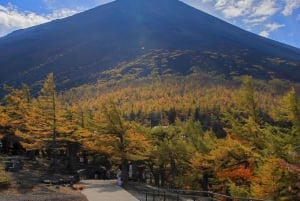 From Tokyo to Mount Fuji: Full-Day Tour and Hakone Cruise
