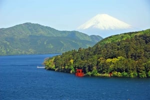 From Tokyo to Mount Fuji: Full-Day Tour and Hakone Cruise