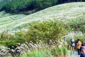 From Tokyo to Mount Fuji: Full-Day Tour and Hakone Cruise