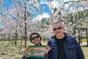 From Tokyo to Mount Fuji: Full-Day Tour and Hakone Cruise