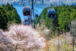 From Tokyo to Mount Fuji: Full-Day Tour and Hakone Cruise