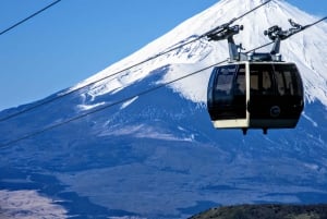 From Tokyo to Mount Fuji: Full-Day Tour and Hakone Cruise