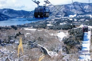 From Tokyo to Mount Fuji: Full-Day Tour and Hakone Cruise