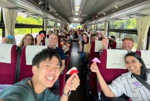 From Tokyo to Mount Fuji: Full-Day Tour and Hakone Cruise