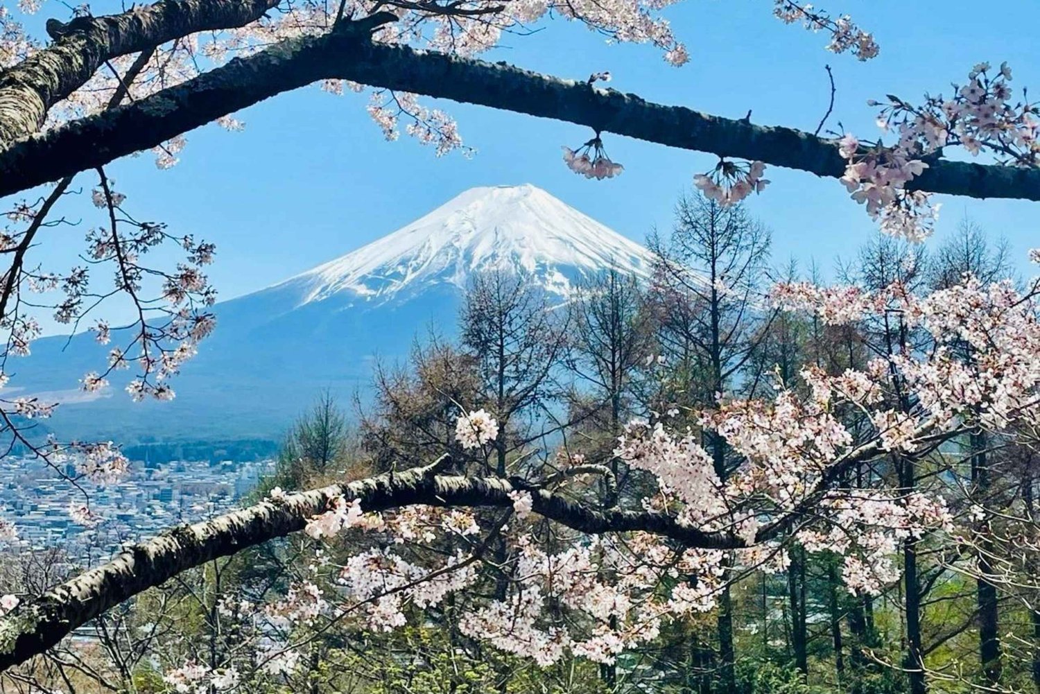 Monte Fuji e Hakone: tour privato con splendidi laghi