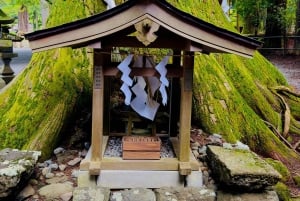 VIP Mt. Fuji och Hakone med vackra sjöar privat tur