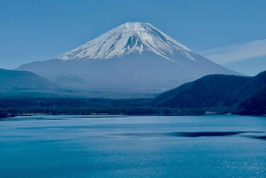 VIP Mt. Fuji och Hakone med vackra sjöar privat tur
