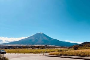 VIP Mt. Fuji och Hakone med vackra sjöar privat tur