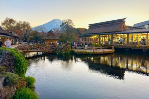 VIP Mt. Fuji och Hakone med vackra sjöar privat tur