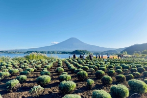 VIP Mt. Fuji och Hakone med vackra sjöar privat tur