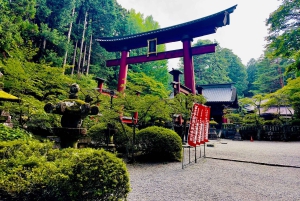 VIP Mt. Fuji och Hakone med vackra sjöar privat tur