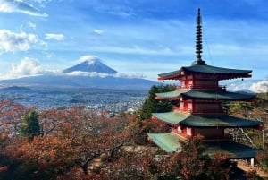 VIP Mt. Fuji och Hakone med vackra sjöar privat tur