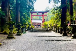 VIP Mt. Fuji och Hakone med vackra sjöar privat tur
