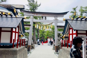 VIP Mt. Fuji och Hakone med vackra sjöar privat tur