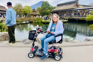 VIP Mt. Fuji och Hakone med vackra sjöar privat tur