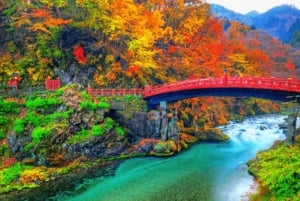 Privat dagstur från Tokyo till Nikko med engelsk guide