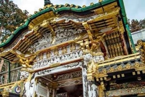 Privat dagstur från Tokyo till Nikko med engelsk guide