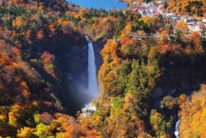 Privat dagstur från Tokyo till Nikko med engelsk guide