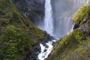 Privat dagstur från Tokyo till Nikko med engelsk guide