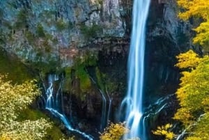 Privat dagstur från Tokyo till Nikko med engelsk guide