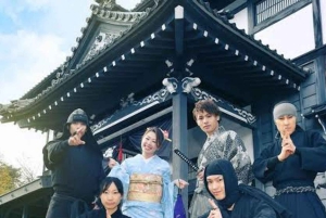 Privat dagstur från Tokyo till Nikko med engelsk guide