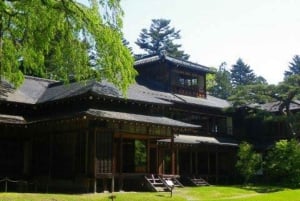 Privat dagstur från Tokyo till Nikko med engelsk guide