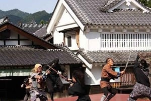 Privat dagstur från Tokyo till Nikko med engelsk guide