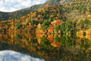 Privat dagstur från Tokyo till Nikko med engelsk guide