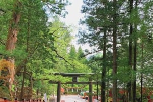 Privat dagstur från Tokyo till Nikko med engelsk guide