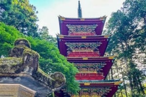 Privat dagstur från Tokyo till Nikko med engelsk guide