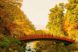 Из Токио: Частный 7-дневный тур по Токио, Киото, Осаке и Никко