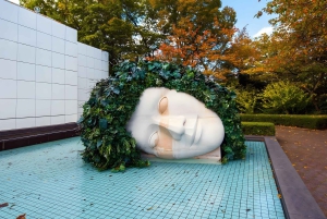 Из Токио: Частный 7-дневный тур по Токио, Киото, Осаке и Никко