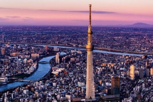 Tokiosta: Yksityinen räätälöity kiertokäynti englanninkielisellä kuljettajalla