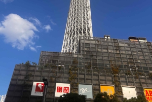 Tokiosta: Yksityinen räätälöity kiertokäynti englanninkielisellä kuljettajalla