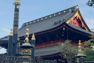 Tokiosta: Yksityinen räätälöity kiertokäynti englanninkielisellä kuljettajalla