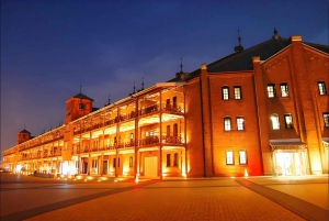 Yokohama Port: Tokyo Private Customized Day Tour For 8 Hours