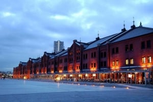 Yokohama Port: Tokyo Private Customized Day Tour For 8 Hours
