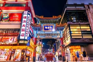 Yokohama Port: Tokyo Private Customized Day Tour For 8 Hours