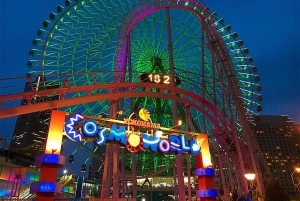 Yokohama Port: Tokyo Private Customized Day Tour For 8 Hours