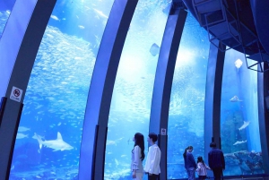 Yokohama Port: Tokyo Private Customized Day Tour For 8 Hours