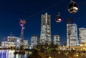 Yokohama Port: Tokyo Private Customized Day Tour For 8 Hours