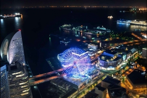 Yokohama Port: Tokyo Private Customized Day Tour For 8 Hours