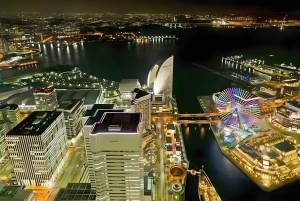 Yokohama Port: Tokyo Private Customized Day Tour For 8 Hours