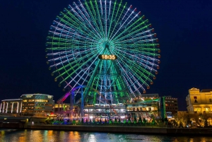 Yokohama Port: Tokyo Private Customized Day Tour For 8 Hours