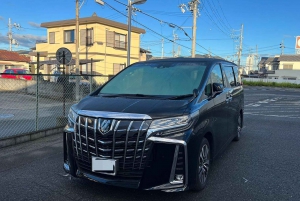 Yokohama Port: Tokyo Private Customized Day Tour For 8 Hours