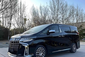 Yokohama Port: Tokyo Private Customized Day Tour For 8 Hours