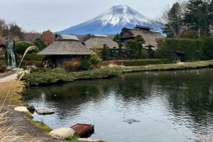 From Tokyo/Yokohama: Mount Fuji and Hakone Full Day Trip