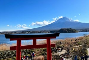 From Tokyo/Yokohama: Mount Fuji and Hakone Full Day Trip